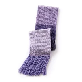 Caron Basic Knit Scarf