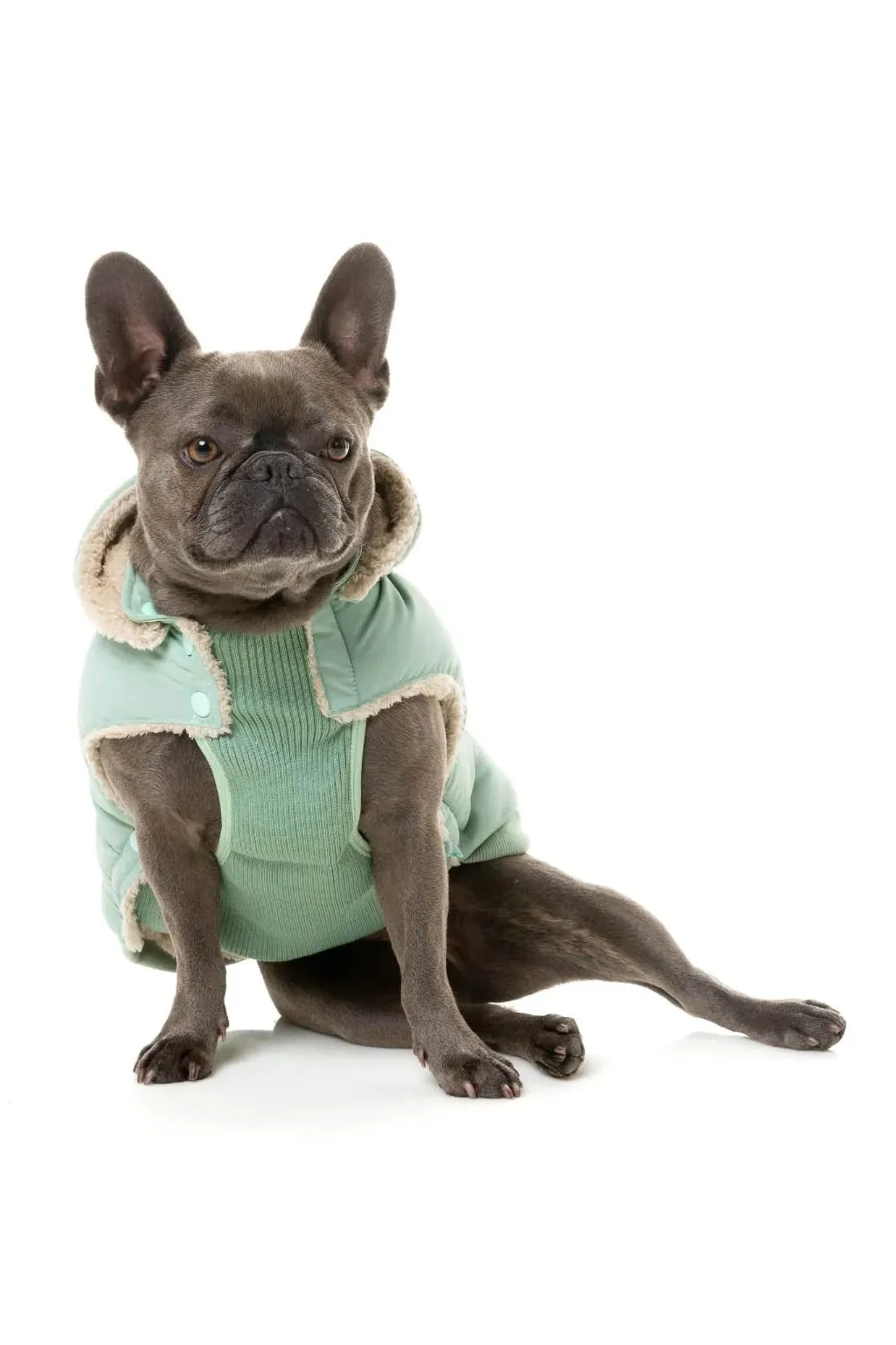 FuzzYard Mint Puffer Dog Jacket