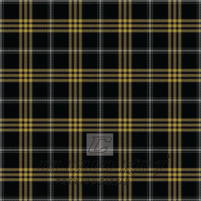 Gregg K and Family Dress Tartan