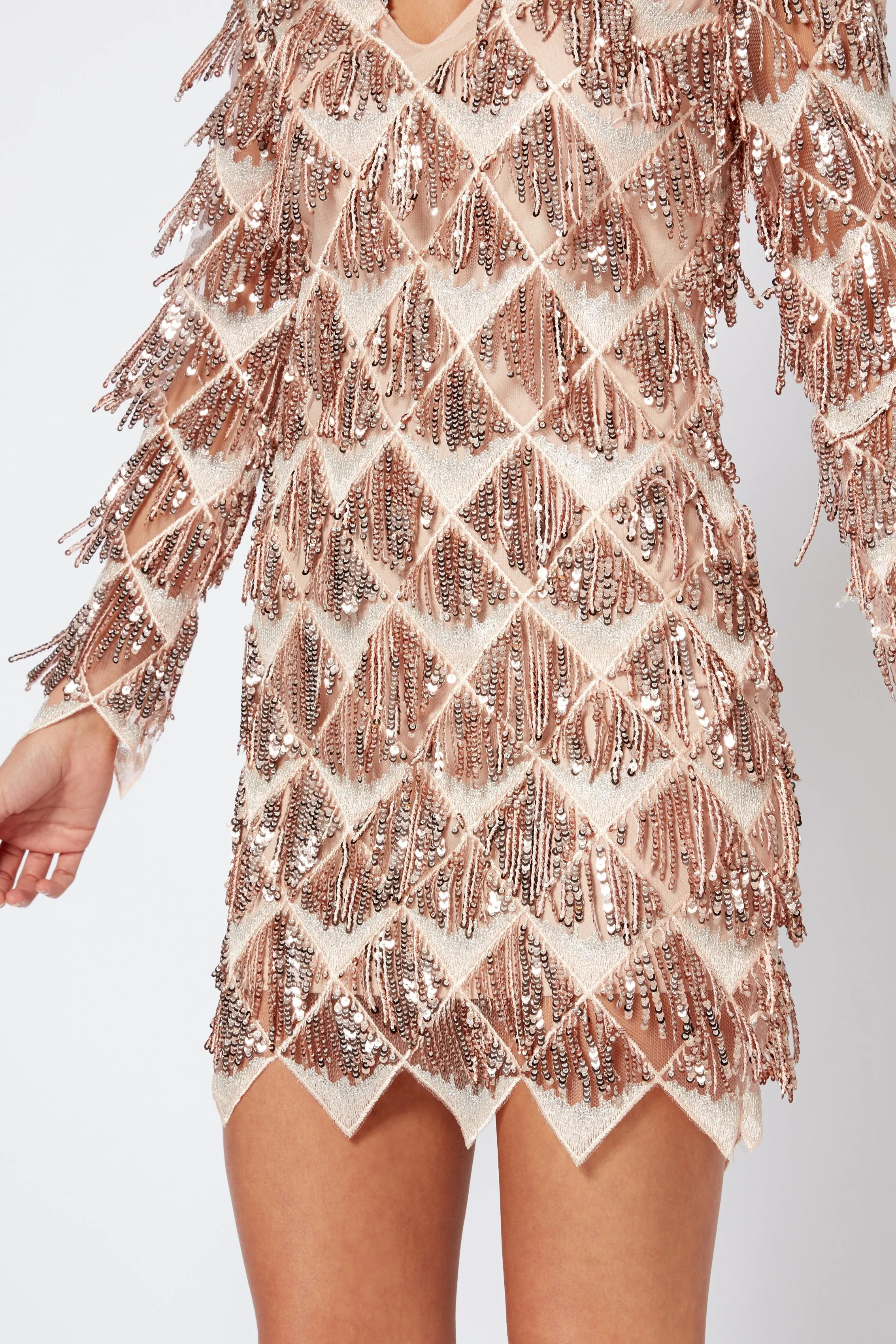 Rose Sequin Tassel Mini Bodycon Dress